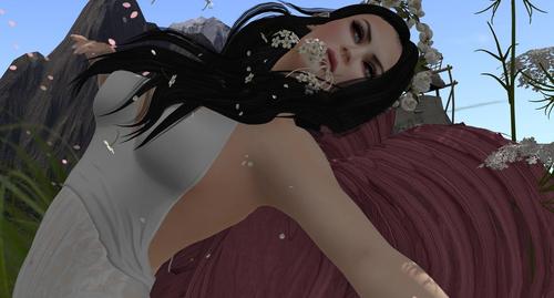 Web 59264a0bd774f80cc0000001