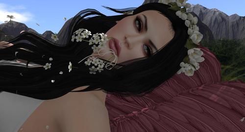 Web 59264b8a73ed173d53000001