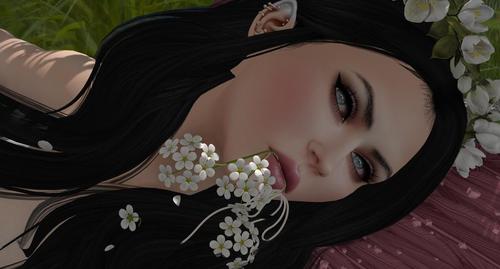 Web 59264bd773ed173ff3000001