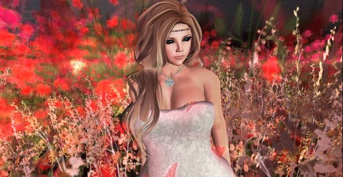 Web 528ec11f48a6da67f5000001