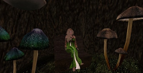 Web 52930325a8063d7028000001