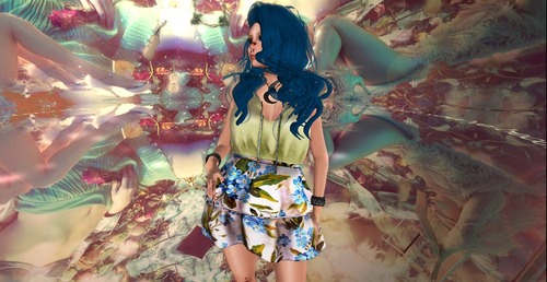 Web 533d2f5ef8a1ec69f2000001