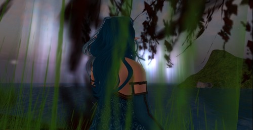 Web 533df7b18da5726d21000001