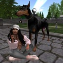 Thumb 58c7c47df8a1ec29a5000001