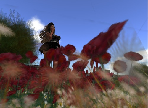 Web 58933bd2b015404455000001