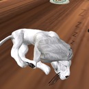 Thumb 543adc908da5721e7b000001