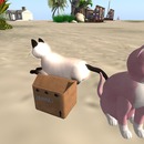 Thumb 543fcca3f8a1ec3068000001