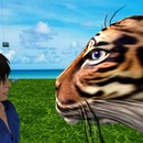 Thumb 545520818da5727efd000001