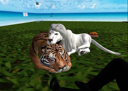 Web 544d4ea6f8a1ec3dd0000001