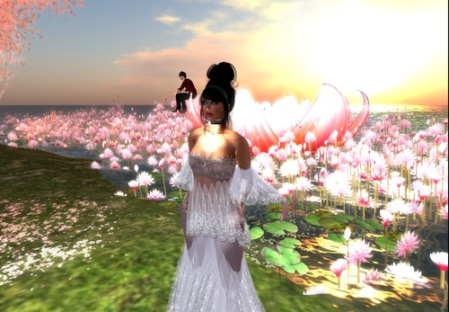 Web 548a19f6128cc976c5000001