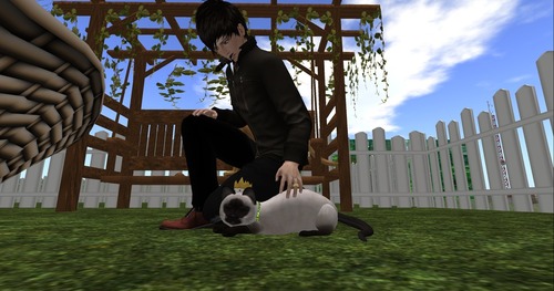 Web 54eb98bda73e21264d000001