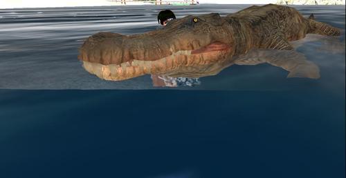 Web 5f21a702d774f812f38b5a48