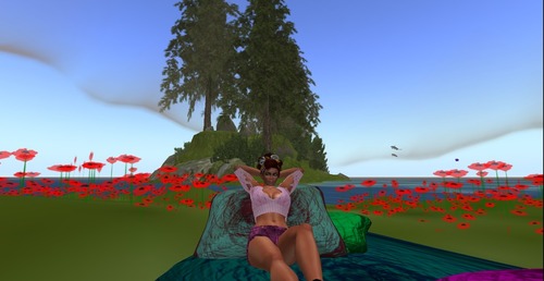 Web 52a384a5ef12397981000001