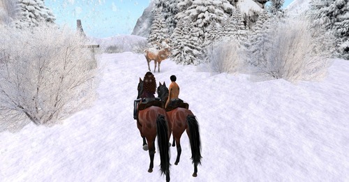 Web 5299a43dbcb65f504f000001