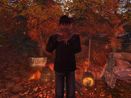 Web 5dbd4837289dd208f8000001