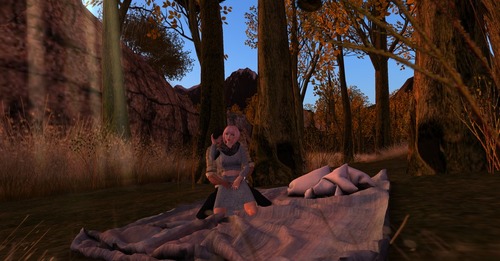 Web 5661233af8a1ec7d81000001