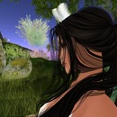 Thumb 5629b9a88da5727c65000001