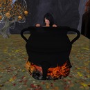 Thumb 562f59d18da5725ec5000001