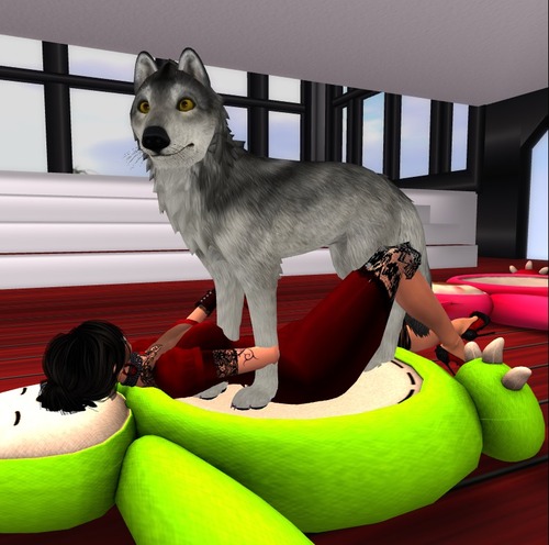 Web 539170c58da5724e08000001