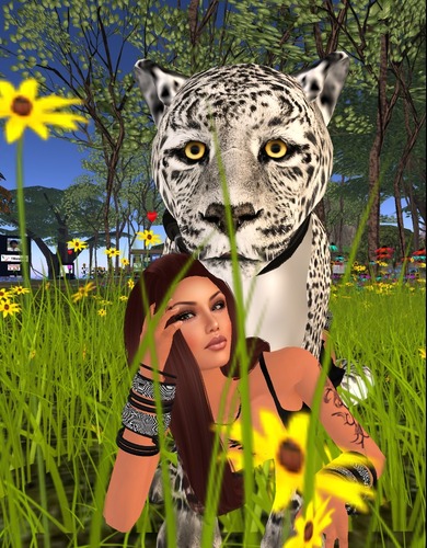 Web 53990d3d8da5724cc2000001