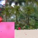 Thumb 56c0b88f76408b3d2d000001