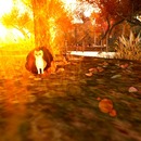 Thumb 543bcbe6a73e2139df000001