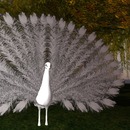 Thumb 544ac9688da5723663000001