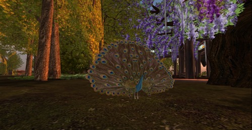 Web 544acff9128cc92e3d000001