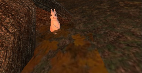 Web 545111f9f8a1ec5940000001