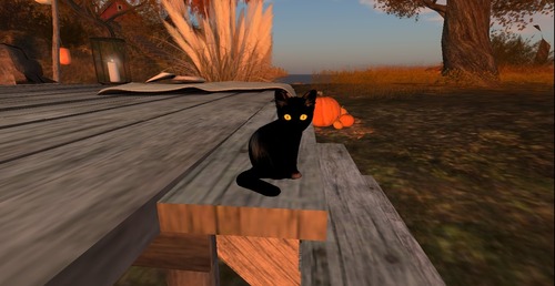 Web 54511489128cc95b74000001