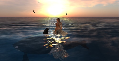 Web 54512952f8a1ec0184000001