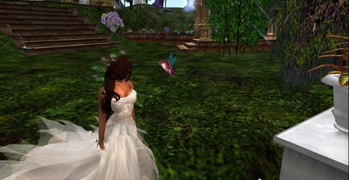 Web 551702a3a73e214ed3000001