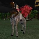 Thumb 5cdcddb5289dd25160000001