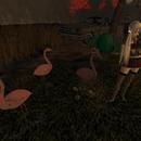 Thumb 5ce41952d9859c28d5000001