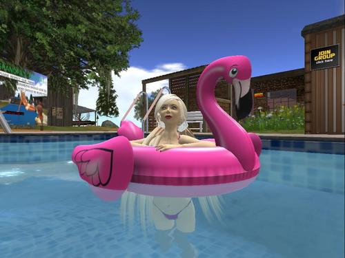 Web 5cdca494d9859c76f7000001