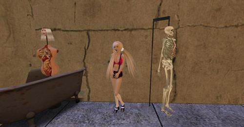 Web 5cdce2a673ed176b5f000001