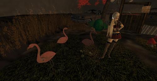 Web 5ce41952d9859c28d5000001