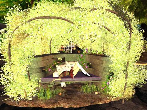 Web 5ce4552fd774f848b1000001