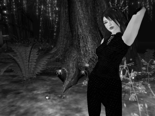 Web 58795b5ae85cda4f72000001