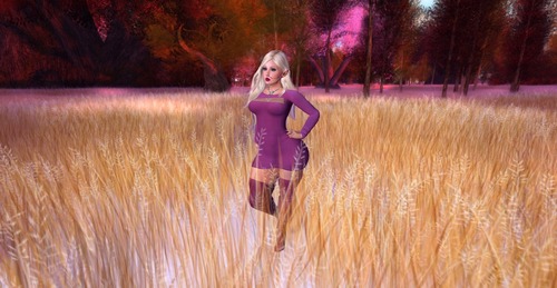 Web 5874aaa6b713f758d4000001