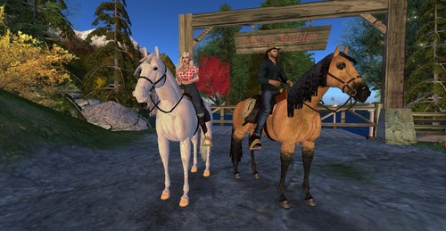 Web 588650b4b713f766a5000001