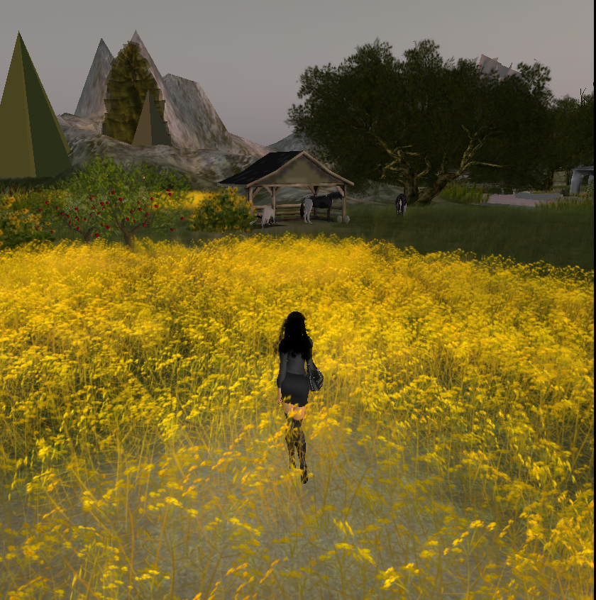 Original 55224e57a73e213c7e000001