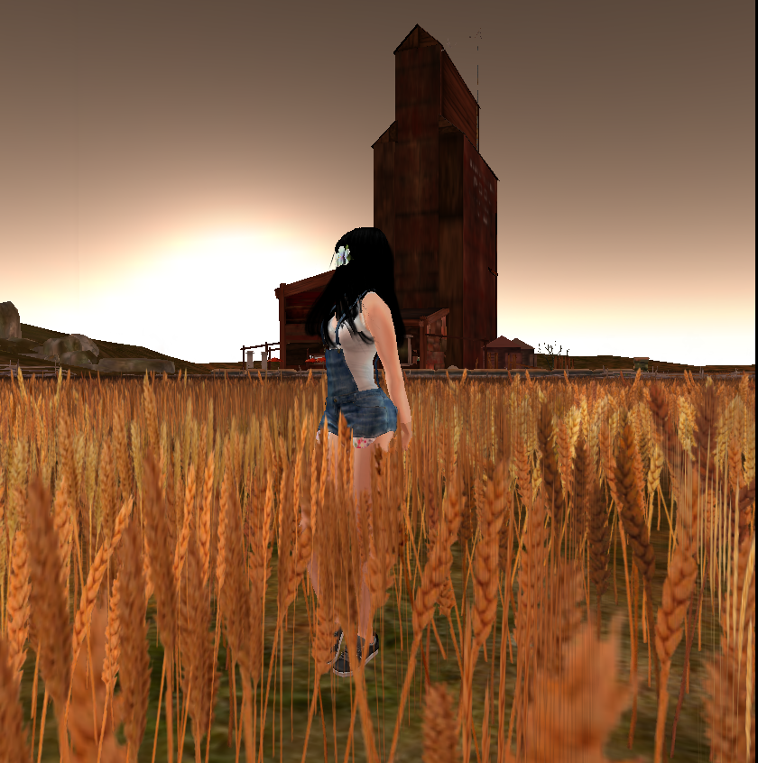 Original 552392e9128cc956e1000001