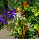 Thumb 566aa293128cc939b4000001