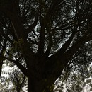 Thumb 56fe0521f8a1ec6729000001