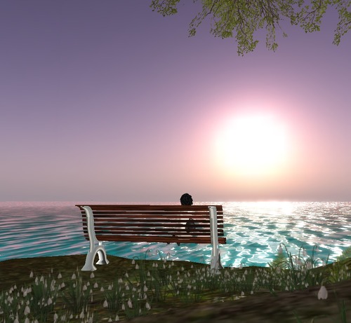 Web 54abb7608da5725abd000001