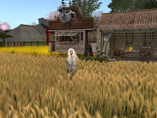 Web 56fe3163f8a1ec350e000001