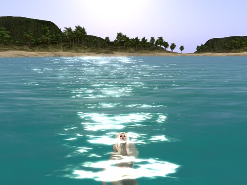 Web 570a07fae85cda0f68000001