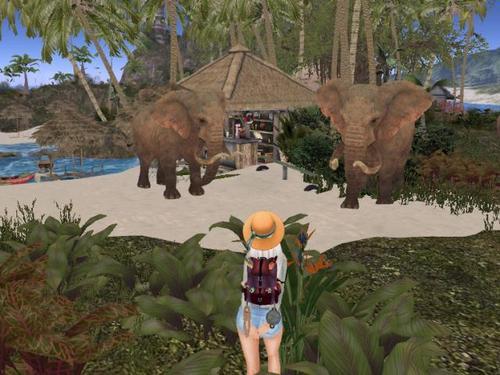 Web 61398ca97d59533dd65966b3