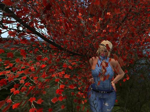 Web 5a922139d9859c278a000001